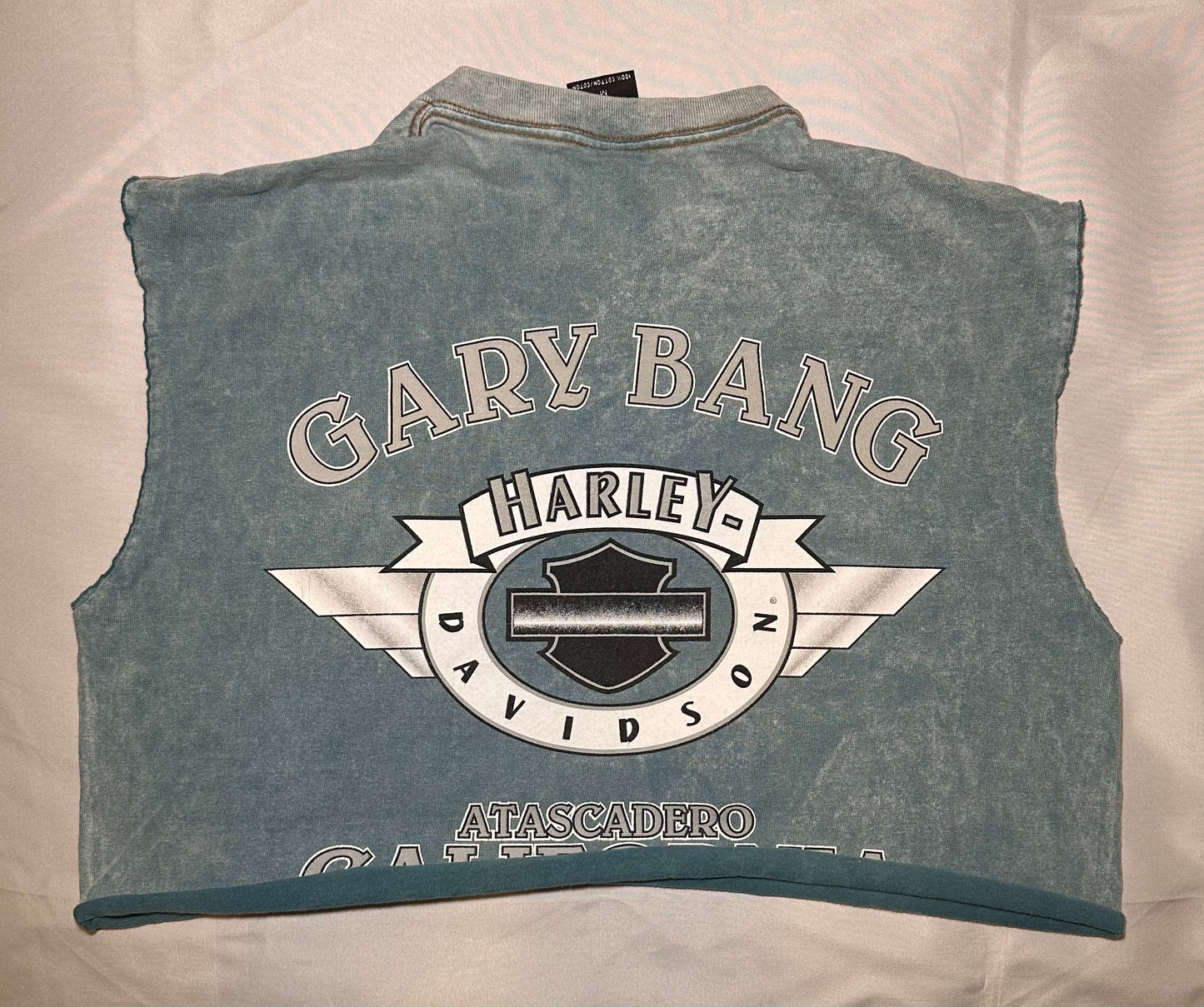 Gary Bang HD Crop T