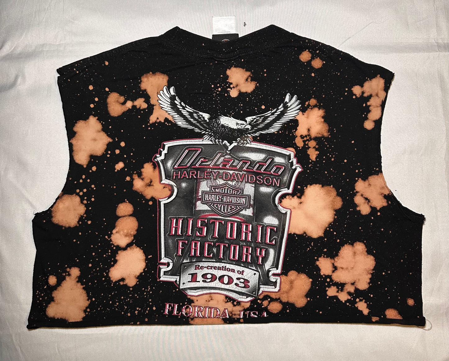 Orlando HD Dyed Crop T