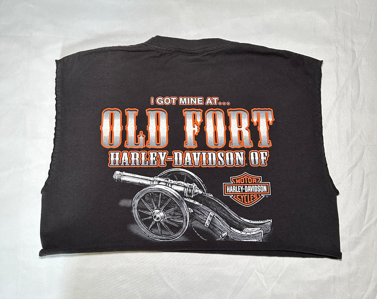 Old Fort HD Crop T