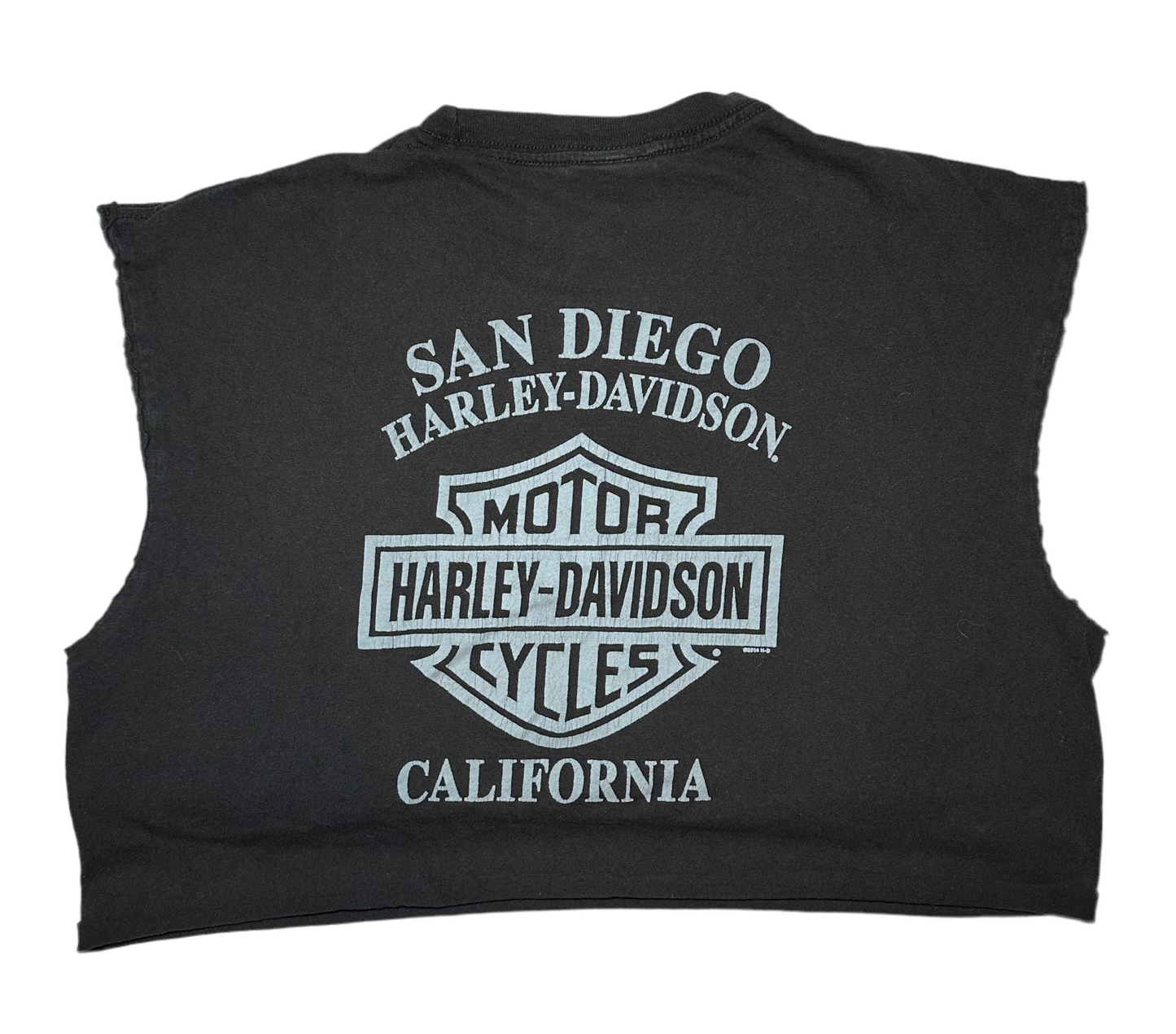 San Diego HD Crop T