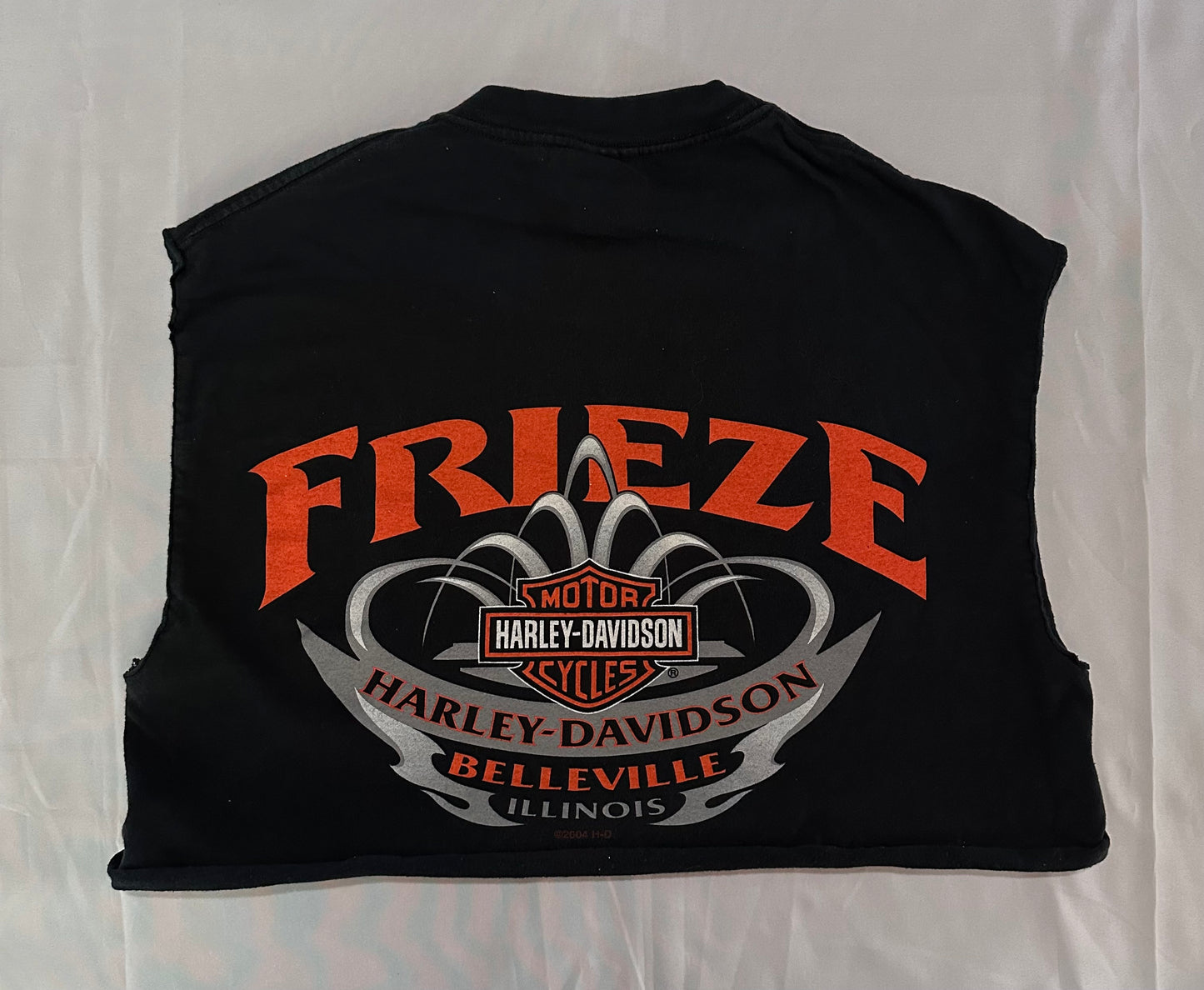 Frieze HD Crop T