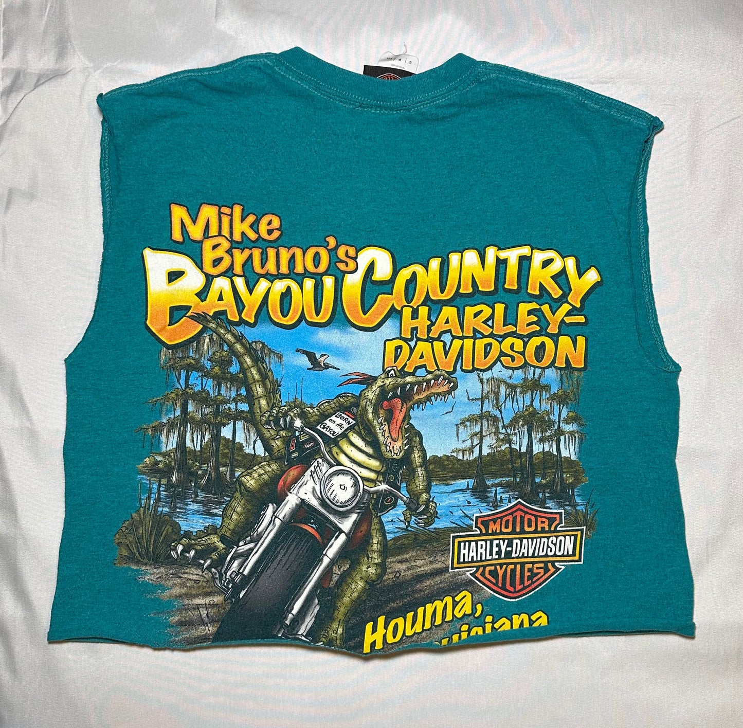 Bayou Country HD Crop T