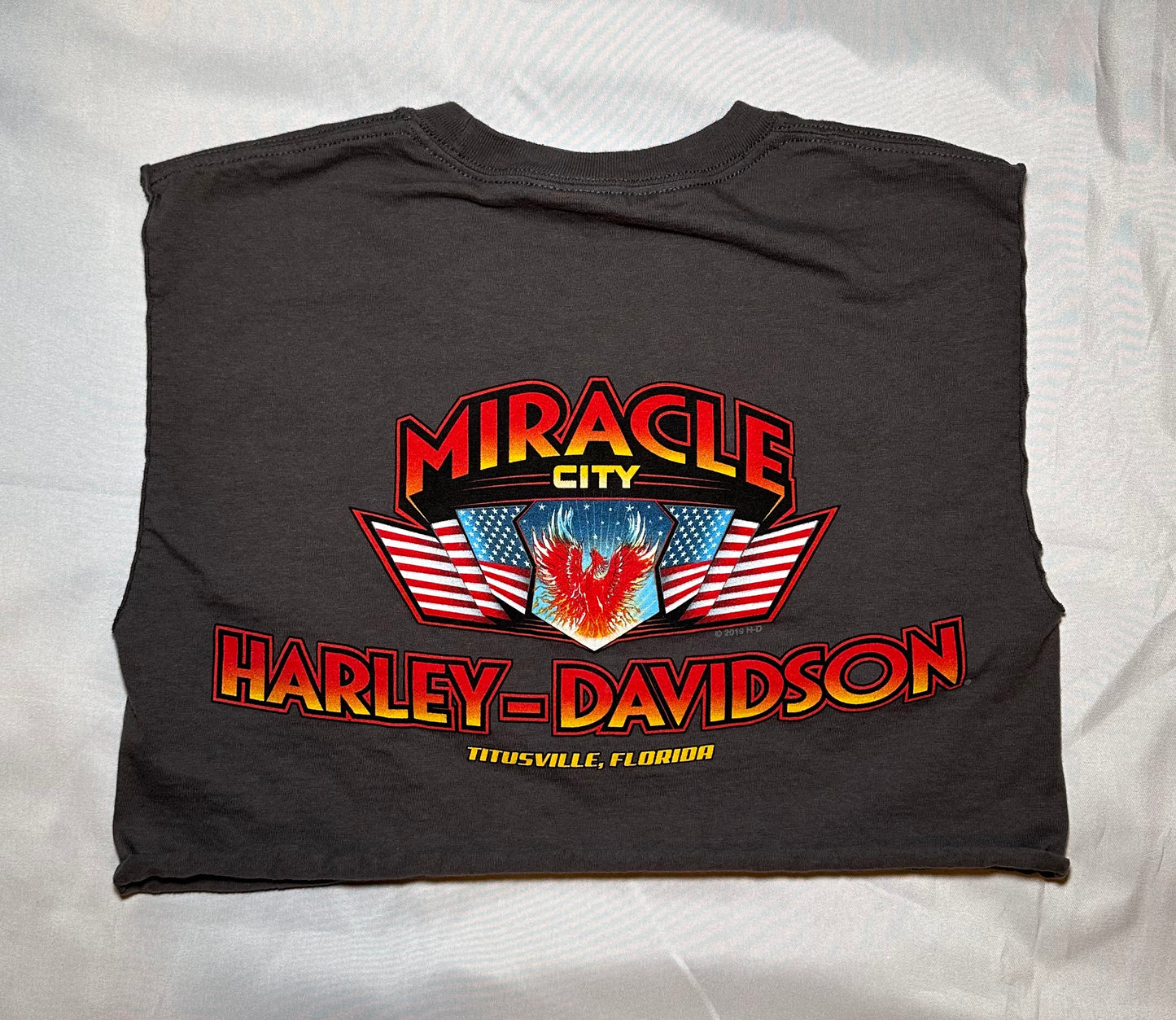 Miracle City HD Crop T