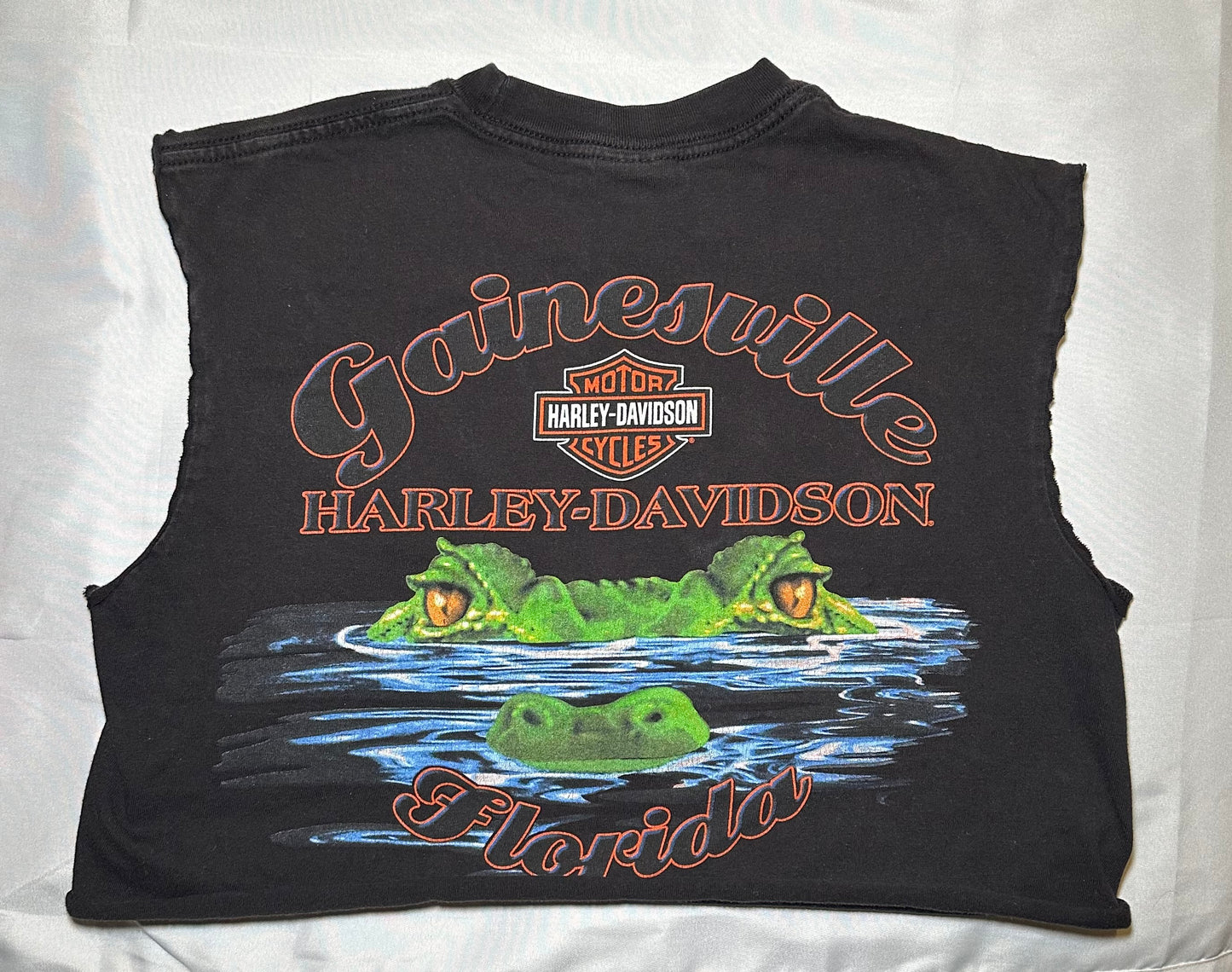 Gainesville HD Crop T