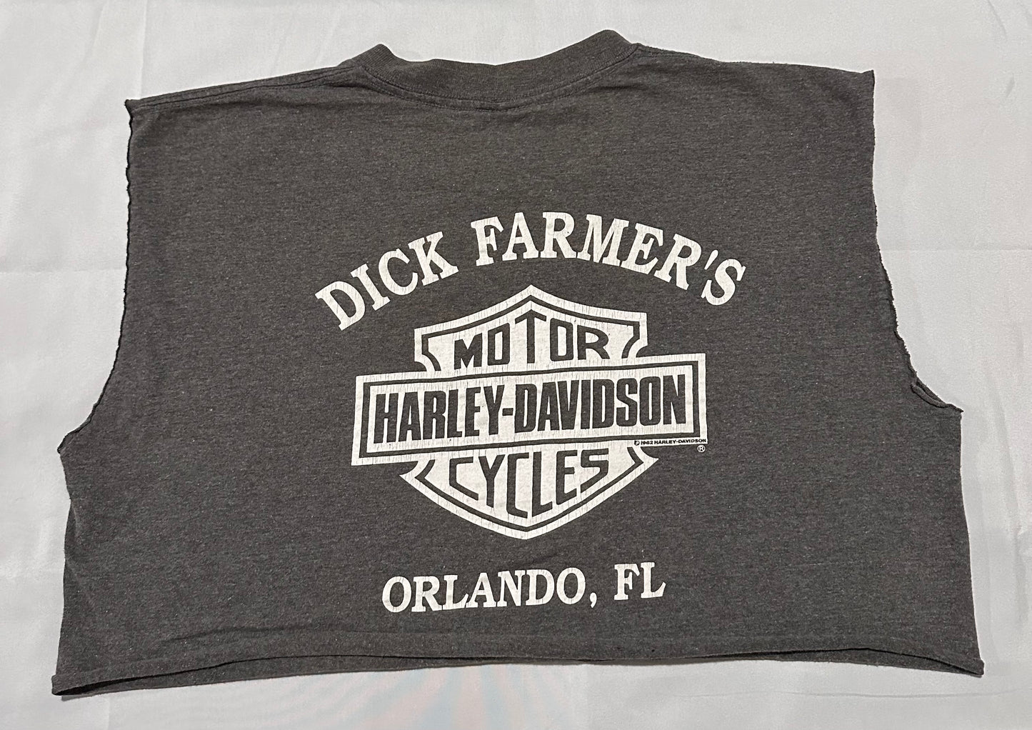 Orlando HD Crop Tee