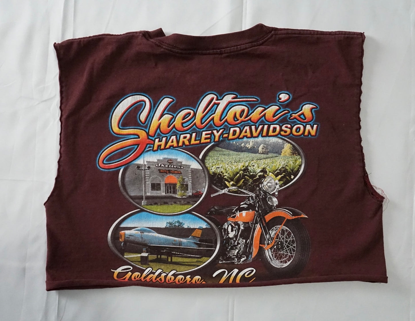 Gladsboro Vintage HD Crop Tee