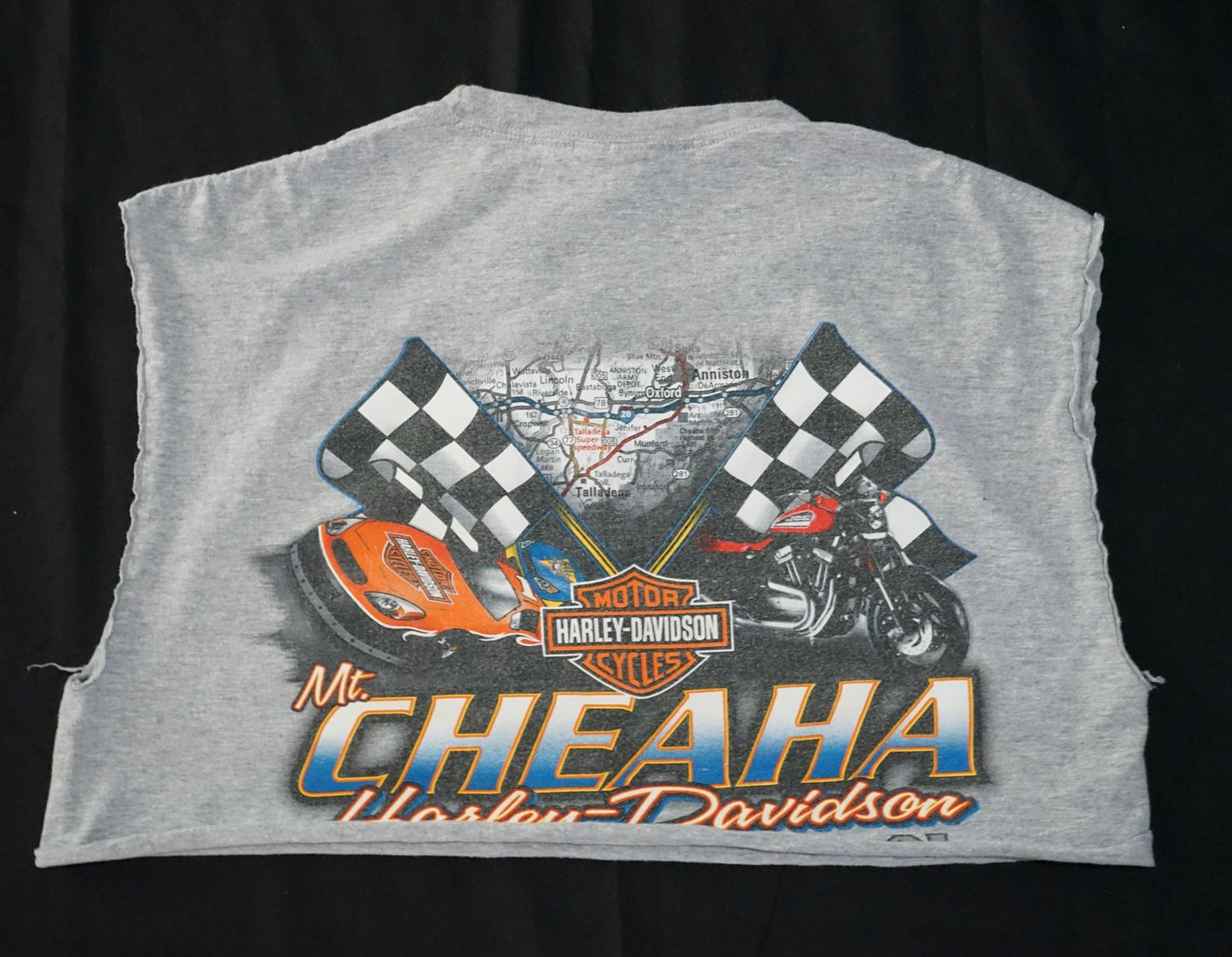 Mt. Cheaha HD Crop Tee