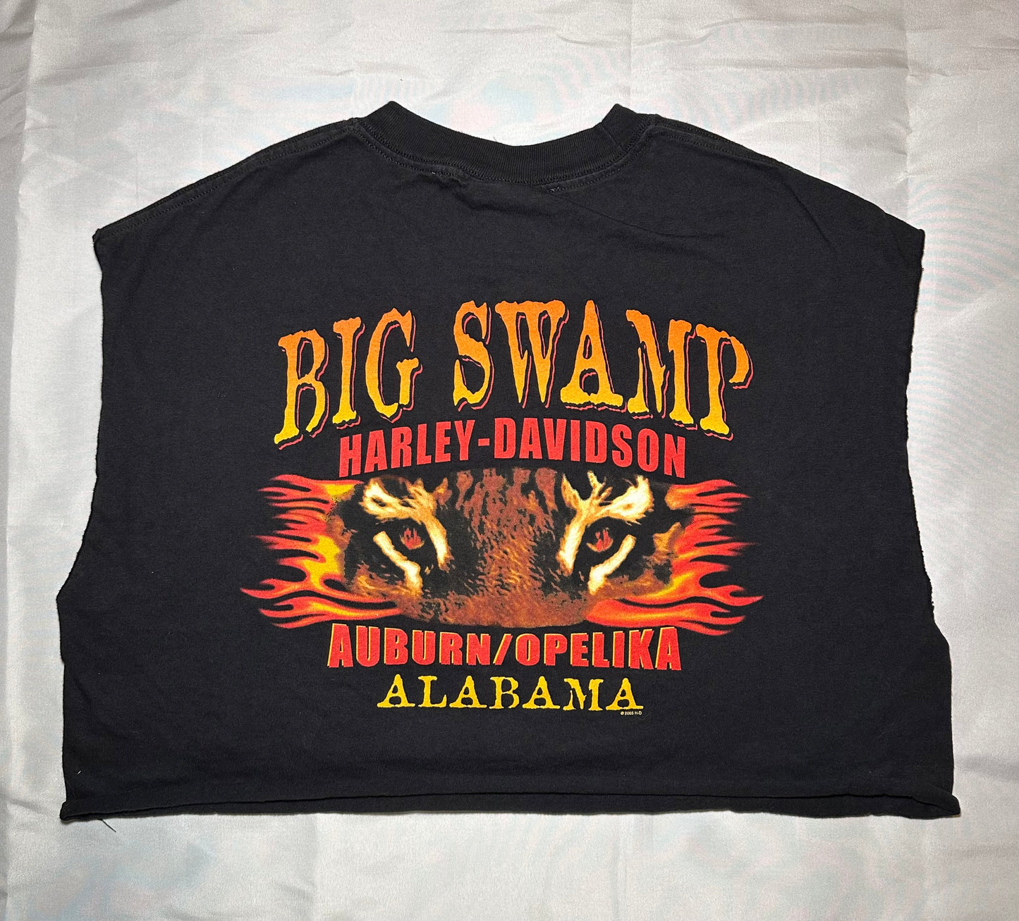 Big Swamp HD Crop T