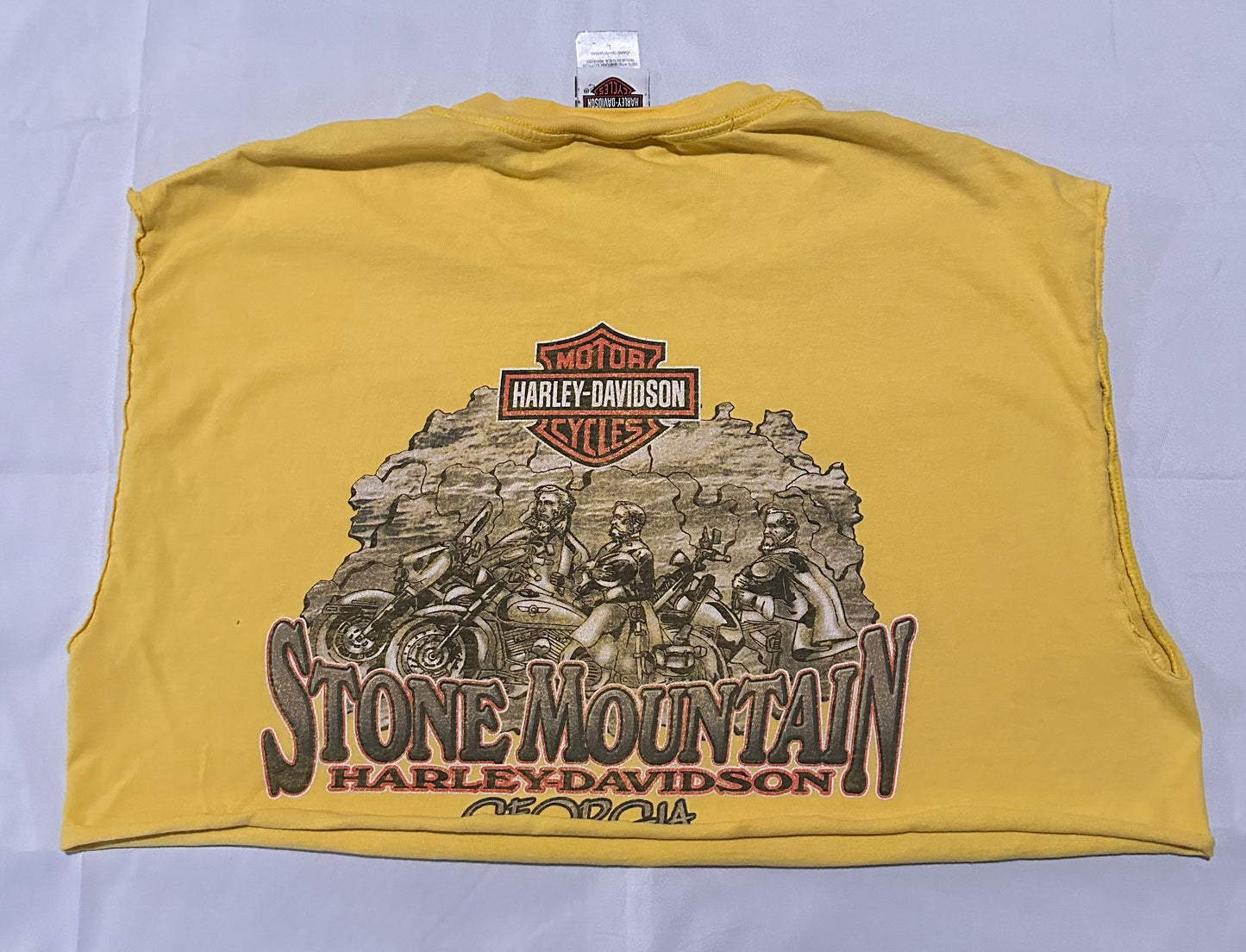 Stone Mountain HD Crop Tee