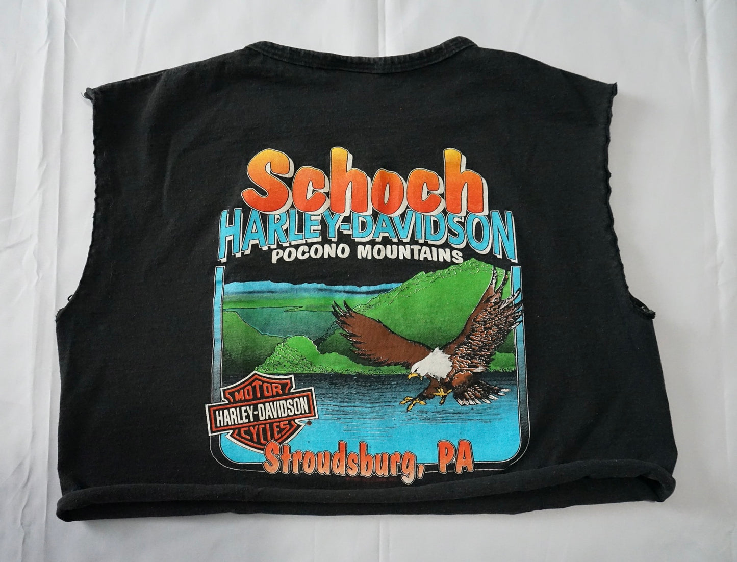 Pocono Mtn. Vintage HD Crop Tee