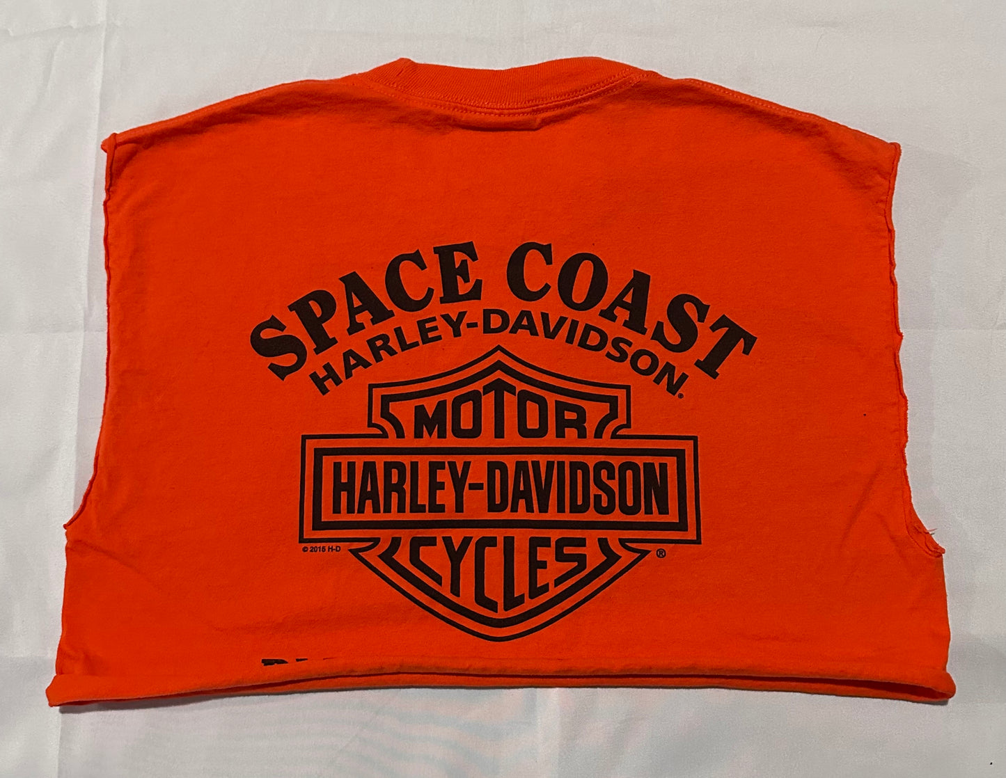 Space Coast HD Crop Tee