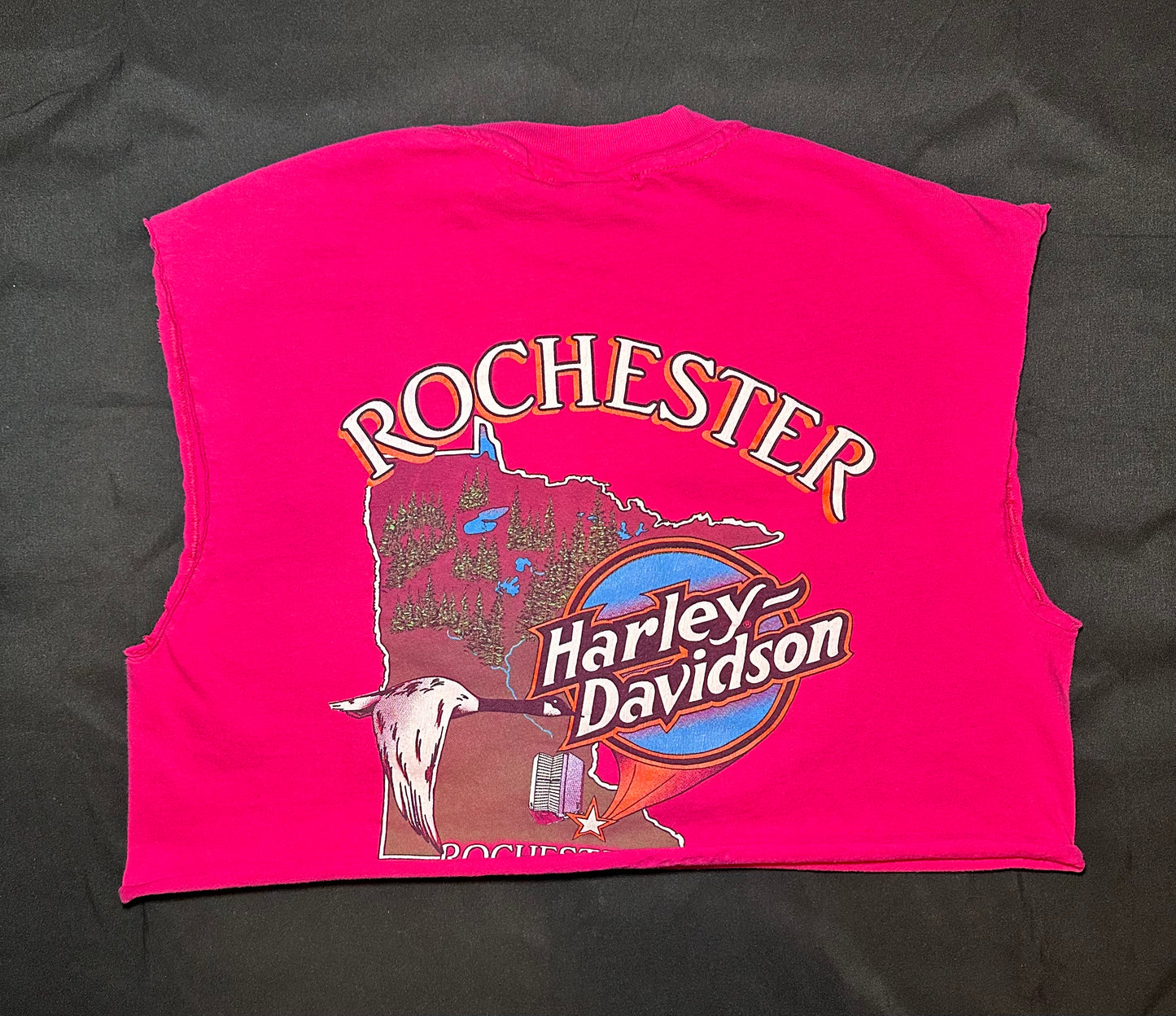 Rochester HD Crop Tee