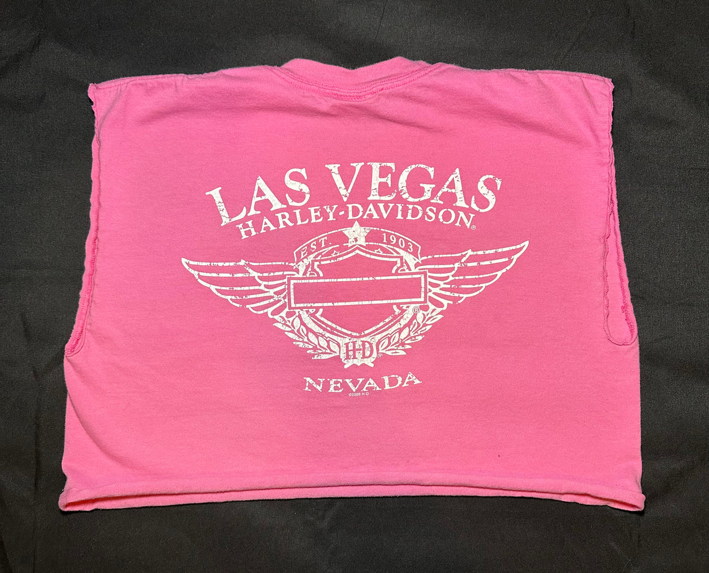 Las Vegas HD Crop T