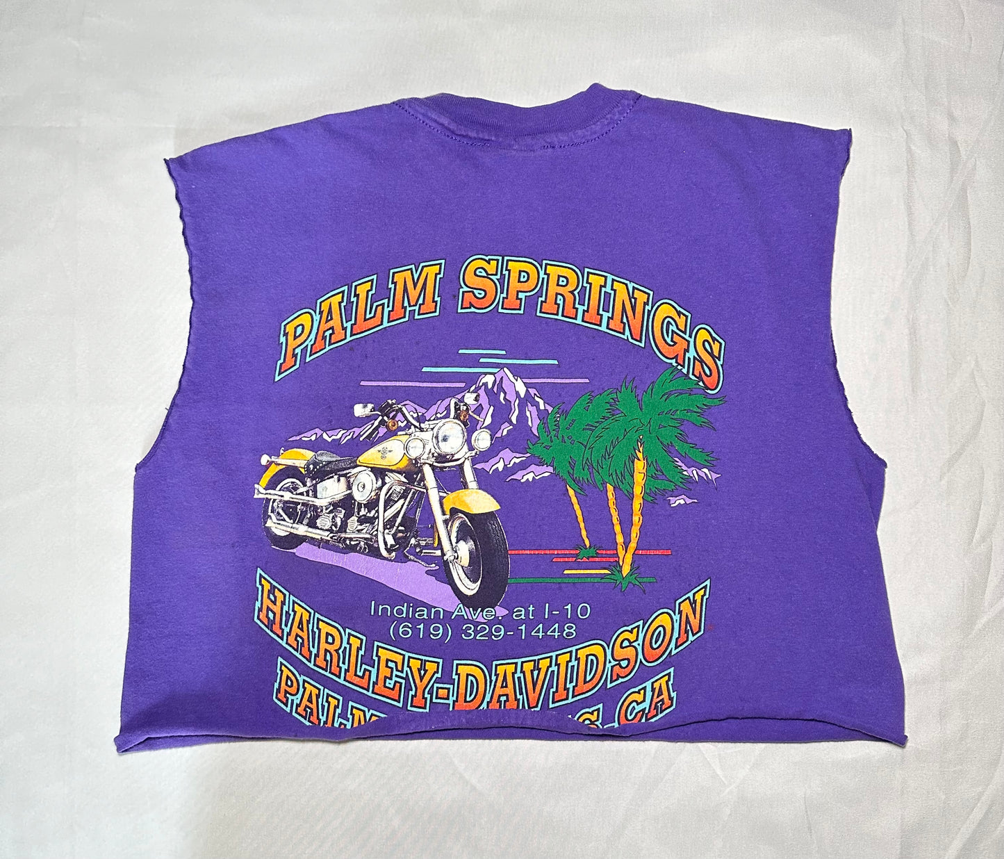 Palm Springs HD Crop T