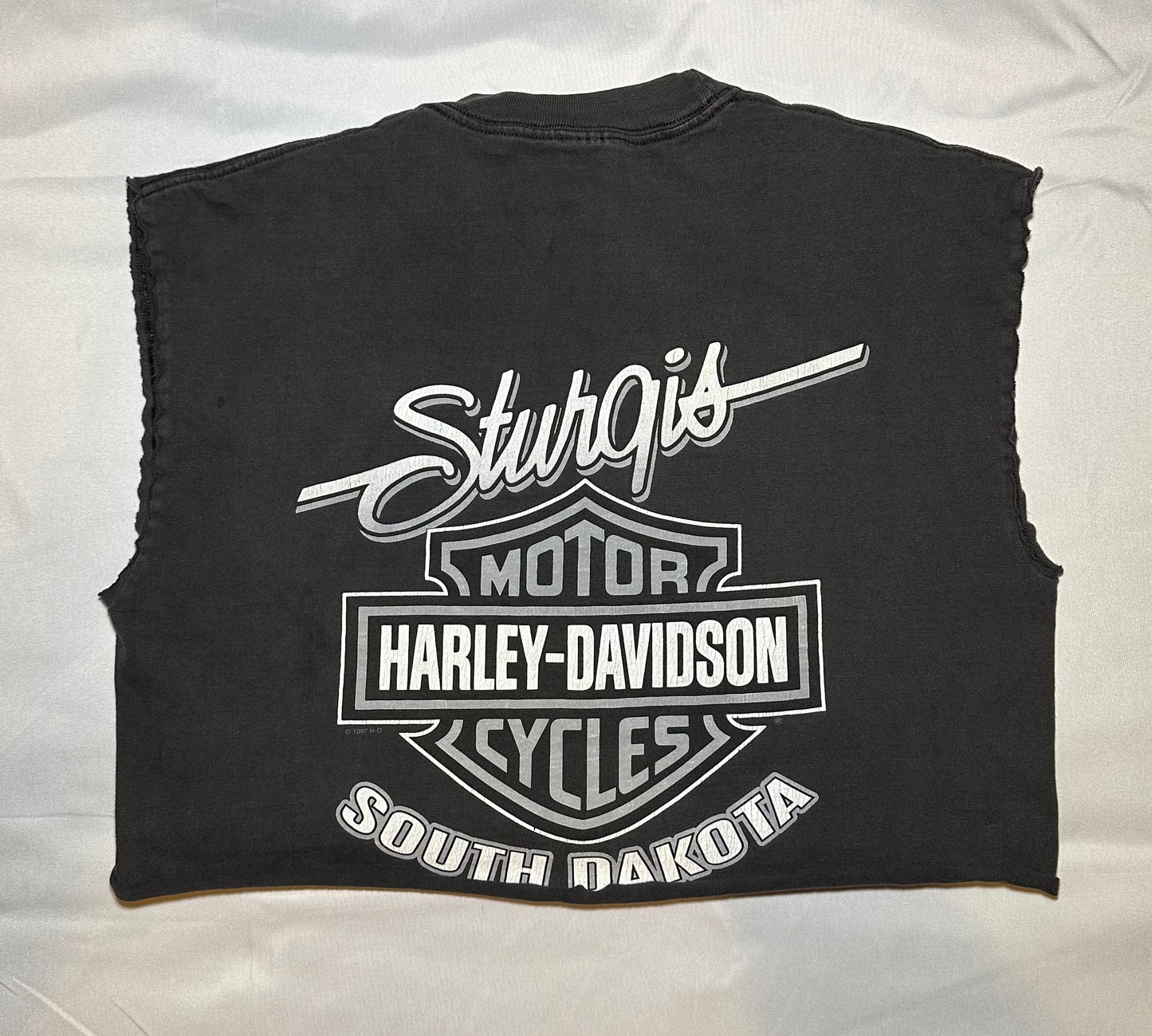 ‘01 Sturgis HD Crop T