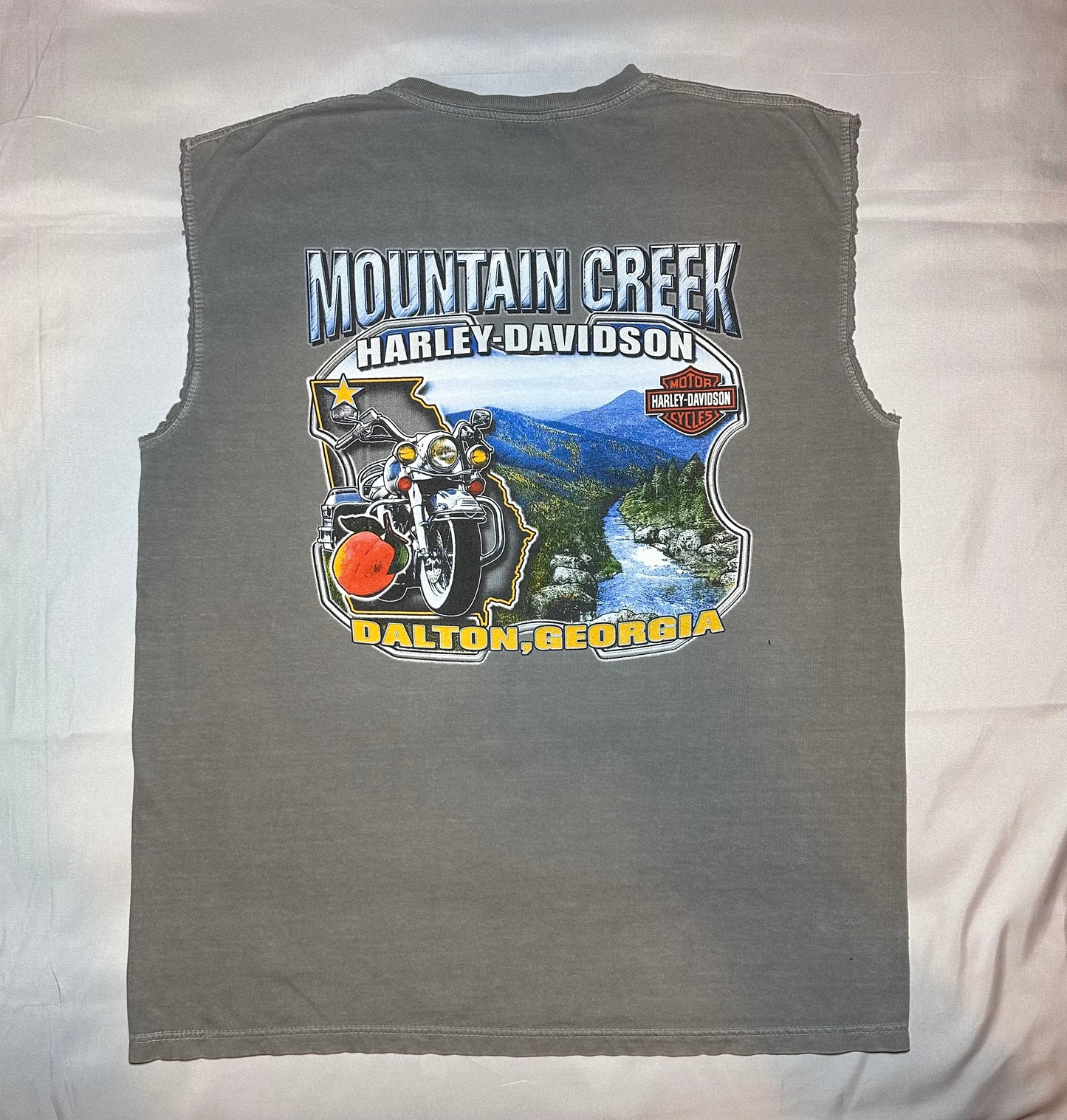 Mountain Creek Sleeveless HD T