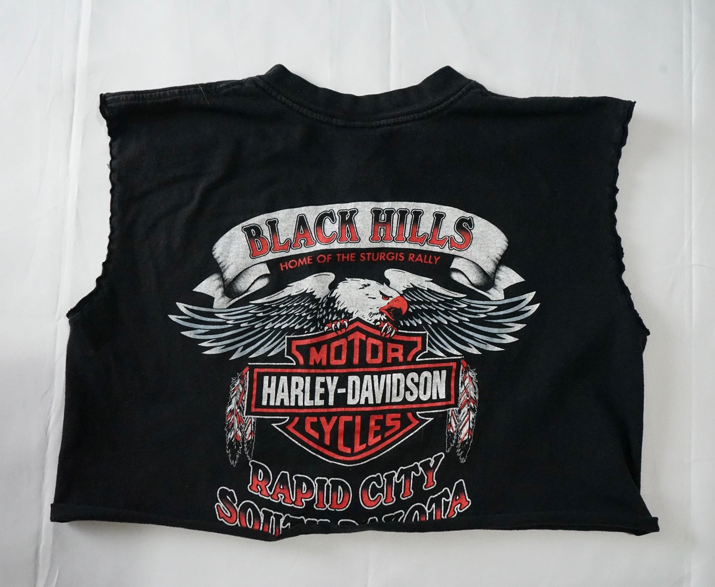 Black Hills Vintage HD Crop Tee